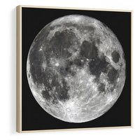 Obraz w ramie 50x50 - Księżycowa Aura - zdjęcie, ogromny księżyc na czarnym tle - rama drewno