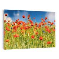 Obraz na płótnie 70x50 - Delikatne maki na kolorowej łące - mak, maki