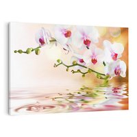 Obraz na płótnie 70x50 - Elegancja orchidei - orchidea, kwiaty