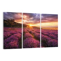 Obraz na płótnie 120x80 - Lawenda: Pachnące pole kwiatów - kwiaty, lawenda