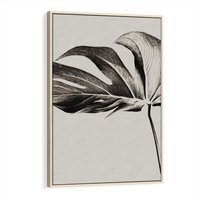 Obraz w ramie 80x120 - Szepczący Liść - szkic, czarno biały - rama drewno