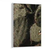 Obraz w ramie 50x70 - Urok Egzotyki - kaktusy, boho - rama biała