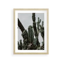 Plakat w ramie 30x40 - Boho oaza wśród kaktusów - kaktusy, pustynia - rama drewno