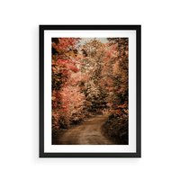 Plakat w ramie 50x70 - Obraz przedstawia jesienne drzewa i czerwone liście na ścieżce w lesie. Ta sceneria doskonale oddaje urok i kolorystykę jesieni w lesie. - las, jesień - rama czarna