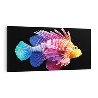 Obraz na płótnie 140x70 - Tęczowa Piękność - kolorowa tęczowa ryba, mocny akcent na czarnym tle