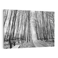 Obraz na płótnie 70x50 - Spadające Liście - czarno białe zdjecie, park