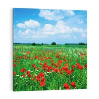 Obraz na płótnie 70x70 - Kolorowa łąka pełna maku - łąka, maki