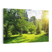 Obraz na płótnie 100x70 - Ogród: urok drzew i roślinności - ogród, drzewa