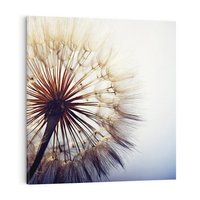 Obraz na płótnie 40x40 - Makro piękno dmuchawca - makro, dmuchawiec