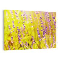 Obraz na płótnie 100x70 - Delikatność natury - lawenda, kwiaty