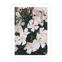 Plakat bez ramy 40x50 - Egzotyczna Uroda - białe kwiaty, tropikalne kwiaty