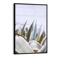 Obraz w ramie 50x70 - Sukulentowe liście - liście, sukulenty - rama czarna