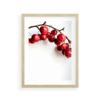 Plakat w ramie 30x40 - Jesienne Owoce - jarzębina, czerwone owoce - rama drewno