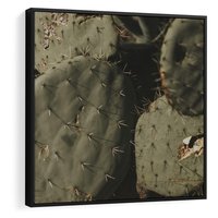 Obraz w ramie 50x50 - Urok Egzotyki - kaktusy, boho - rama czarna