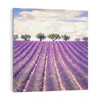 Obraz na płótnie 50x50 - Uroda Lawendy: Kwiatowy Cud Natury - lawenda, kwiaty