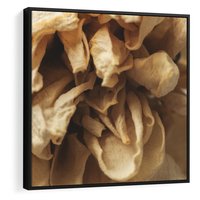 Obraz w ramie 50x50 - Zjawiskowe zasuszone kwiaty - zasuszone, kwiaty - rama czarna