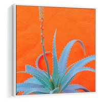 Obraz w ramie 50x50 - Naturalna Harmonia - kaktusy, liście - rama biała