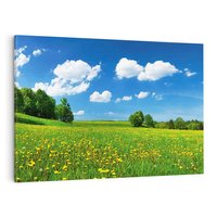 Obraz na płótnie 70x50 - Polana wśród drzew: Spokój i harmonia - polana, łąka