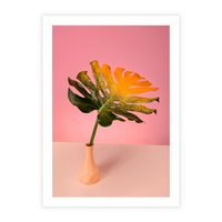 Plakat bez ramy 21x30 - Egzotyczna monstera - monstera, liść