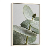 Obraz w ramie 80x120 - Eukaliptusowa zieleń - eukaliptus, zielone - rama drewno