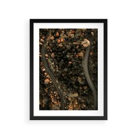 Plakat w ramie 50x70 - Las i Droga w Kolorach Jesieni - droga, ujęcie z góry - rama czarna