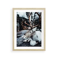 Plakat w ramie 30x40 - W Zimowej Krainie - renifer, zima - rama drewno