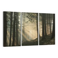 Obraz na płótnie 120x80 - Urok lasu: drzewa w pełnej okazałości - las, drzewa