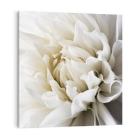 Obraz na płótnie 50x50 - Białe Kwiaty Delikatności - białe, kwiaty