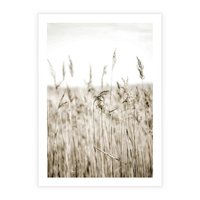 Plakat bez ramy 50x70 - Nostalgiczny Pejzaż - suche trawy, pole