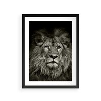 Plakat w ramie 40x50 - Moc lewego spojrzenia - lew, czarno - rama czarna