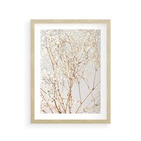 Plakat w ramie 40x50 - Minimalistyczna Delikatność - białe kwiaty, gipsówka - rama drewno