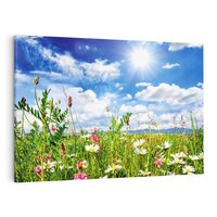 Obraz na płótnie 100x70 - Niebiańska łąka pełna kwiatów - łąka, niebo