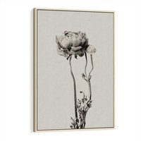 Obraz w ramie 50x70 - Cień Kwiatowej Delikatności - kwiat, cień - rama drewno