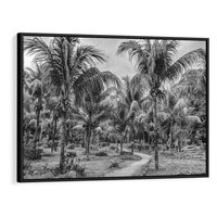 Obraz w ramie 70x50 - Mroczna Ścieżka Tropików - czarno biała fotografia, ścieżka pośród palm - rama czarna