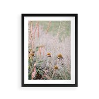 Plakat w ramie 50x70 - Przyroda w Pełnym Blasku: Kolorowa łąka z Kwiatami - łąka, kwiaty na łące - rama czarna