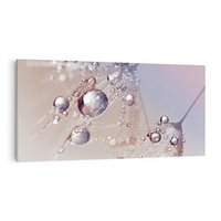 Obraz na płótnie 120x60 - Delikatne Natchnienie - krople, dmuchawce