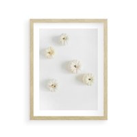 Plakat w ramie 40x50 - Biała Jesień: Dynie na Jasnym Tle - białe dynie, białe tło - rama drewno