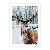 Plakat bez ramy 40x50 - Jeleń na Zdjęciu pod Śniegiem - jeleń, zima