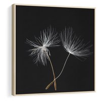 Obraz w ramie 50x50 - Delikatność Wiatru - dmuchawce, makro - rama drewno