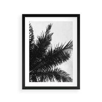 Plakat w ramie 40x50 - Czas Zapomnienia - palmy, czarno biała fotografia - rama czarna