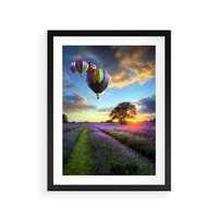 Plakat w ramie 30x40 - Lawendowe Marzenia - lawenda, balony - rama czarna
