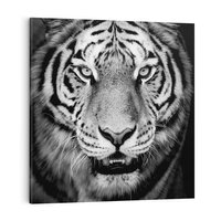 Obraz na płótnie 40x40 - Tygrys Czarno-Biały: Siła i Delikatność - tygrys, czarno