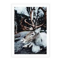 Plakat bez ramy 40x50 - W Zimowej Krainie - renifer, zima