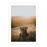 Plakat bez ramy 50x70 - Podróżniczy bukiet na łące - plecak, podróż