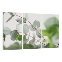 Obraz na płótnie 120x80 - Liście eukaliptusa w naturze - eukaliptus, liście