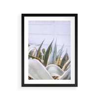 Plakat w ramie 30x40 - Sukulentowe liście - liście, sukulenty - rama czarna