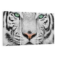 Obraz na płótnie 120x80 - Magia Białego Tygrysa - biały, tygrys