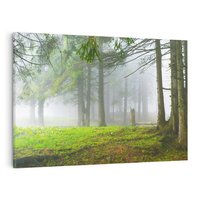 Obraz na płótnie 70x50 - Drzewa w harmonii - las, drzewa