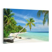Obraz na płótnie 70x50 - Raj na Malediwach: plaża, morze i palmy - Malediwy, plaża