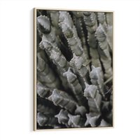 Obraz w ramie 70x100 - Boho kaktusy na pustyni - kaktusy, pustynia - rama drewno